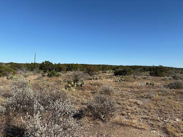 100 Acres of Recreational Land for Sale in Carta Valley, Texas