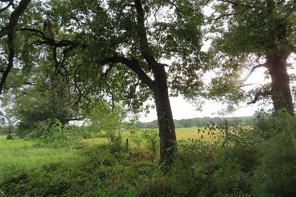 3.42 Acres of Residential Land for Sale in Quitman, Texas