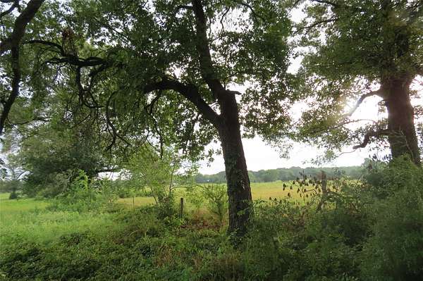 3.42 Acres of Residential Land for Sale in Quitman, Texas
