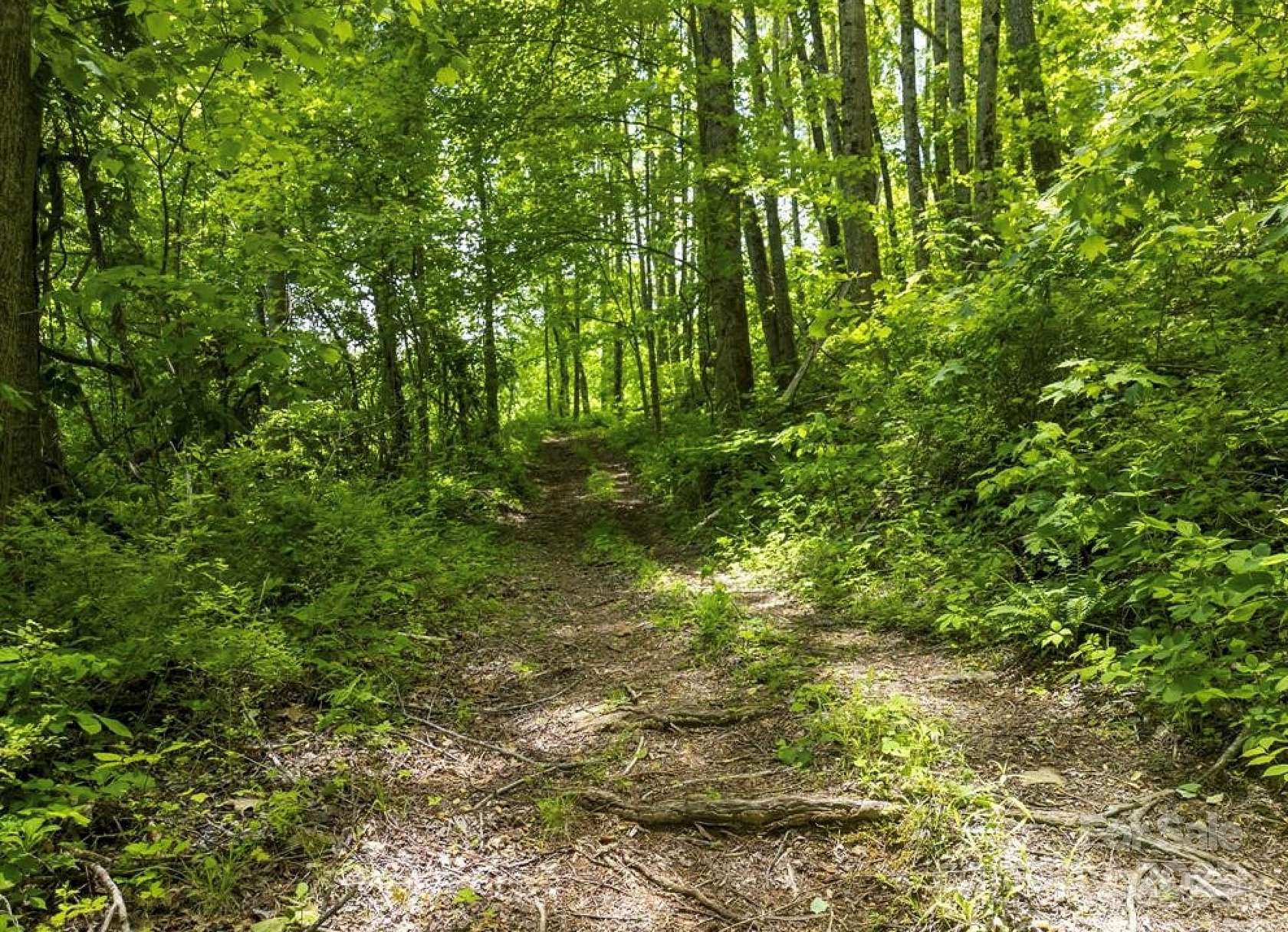 21 Acres of Recreational Land for Sale in Canton, North Carolina