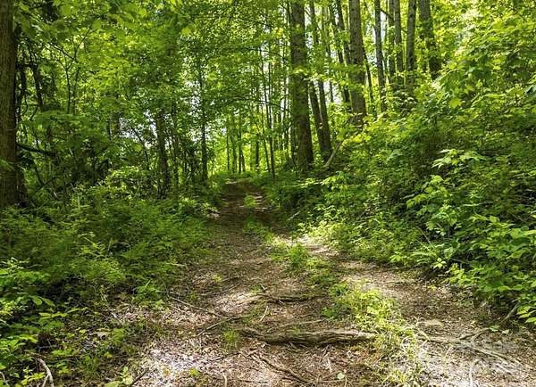 21 Acres of Recreational Land for Sale in Canton, North Carolina