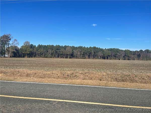 18.7 Acres of Land for Sale in Orrum, North Carolina