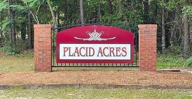 1.22 Acres of Residential Land for Sale in Jesup, Georgia