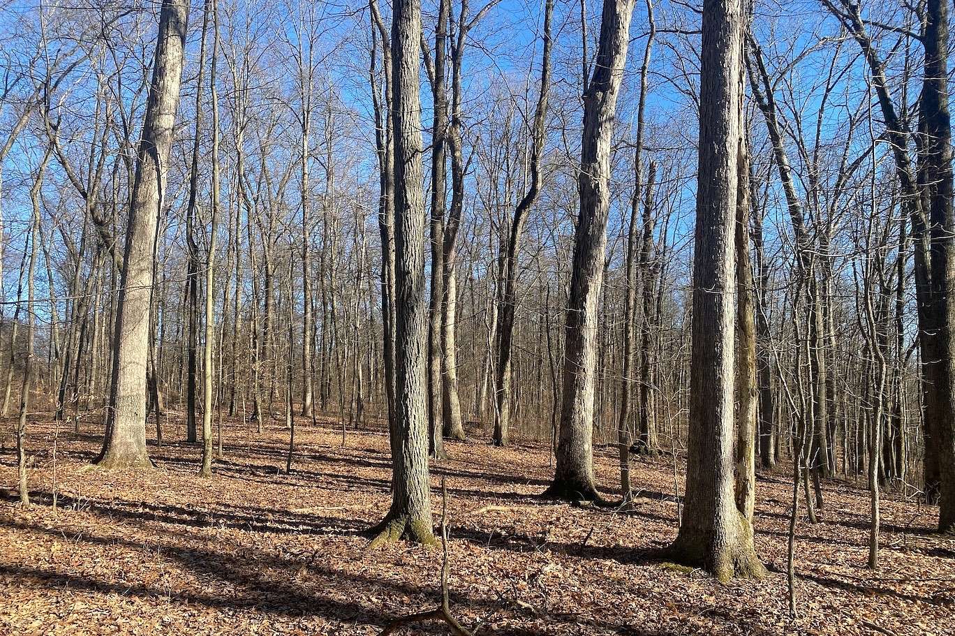 80 Acres of Land for Sale in Frazeysburg, Ohio