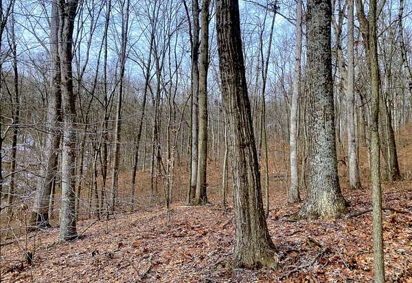80 Acres of Recreational Land for Sale in Frazeysburg, Ohio