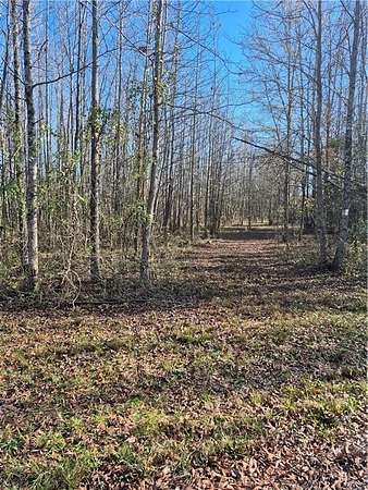 4 Acres of Residential Land for Sale in Danville, Arkansas