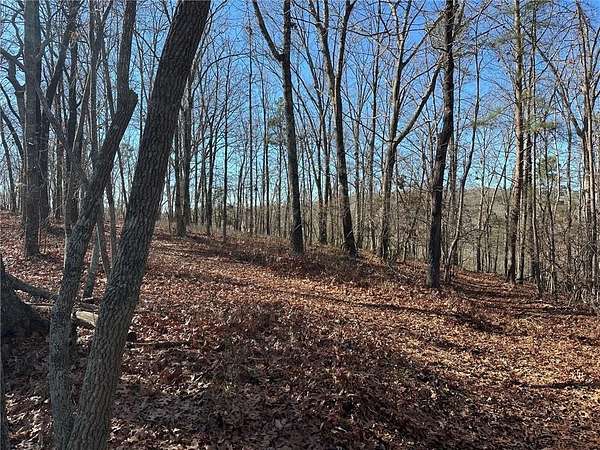 9.45 Acres of Residential Land for Sale in Dawsonville, Georgia