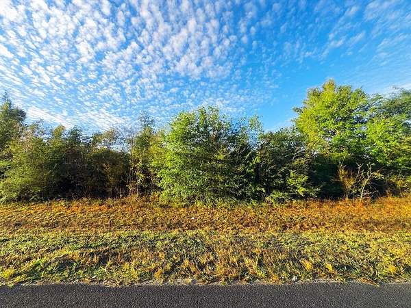 3.2 Acres of Residential Land for Sale in Kinard, Florida