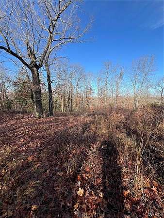 5 Acres of Land for Sale in Dixon, Missouri