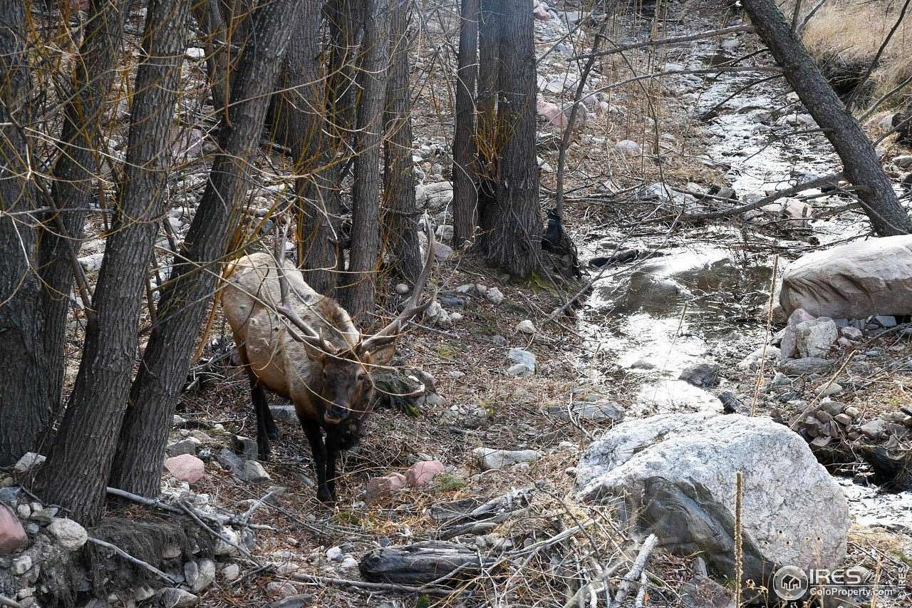 3.32 Acres of Land for Sale in Glen Haven, Colorado