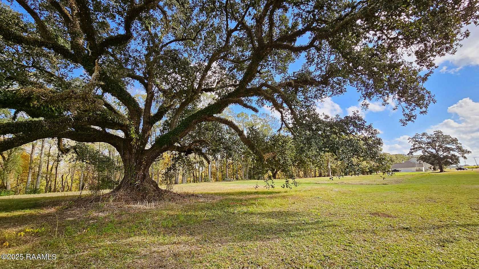 1.7 Acres of Residential Land for Sale in Arnaudville, Louisiana