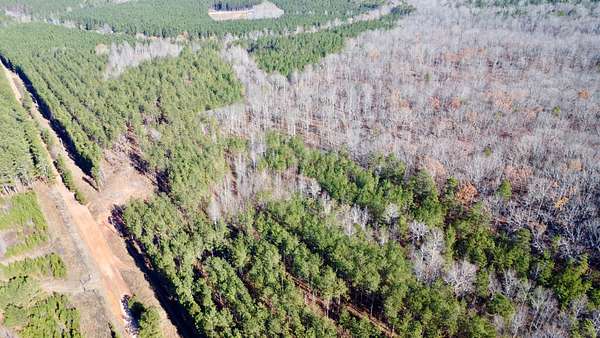 38 Acres of Recreational Land for Sale in Roanoke, Alabama