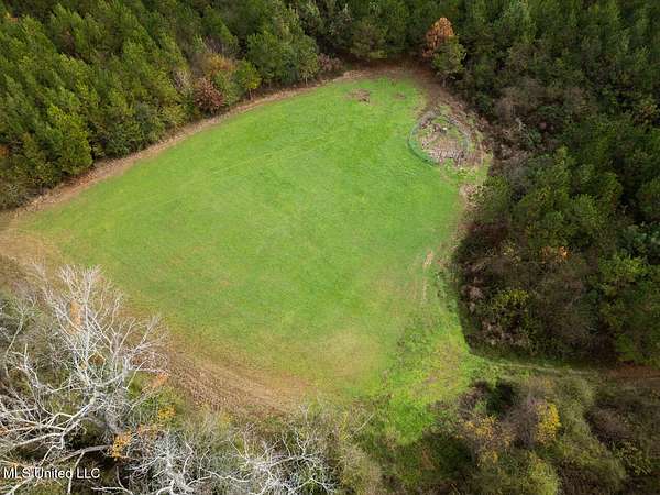 283 Acres of Land for Sale in Liberty, Mississippi