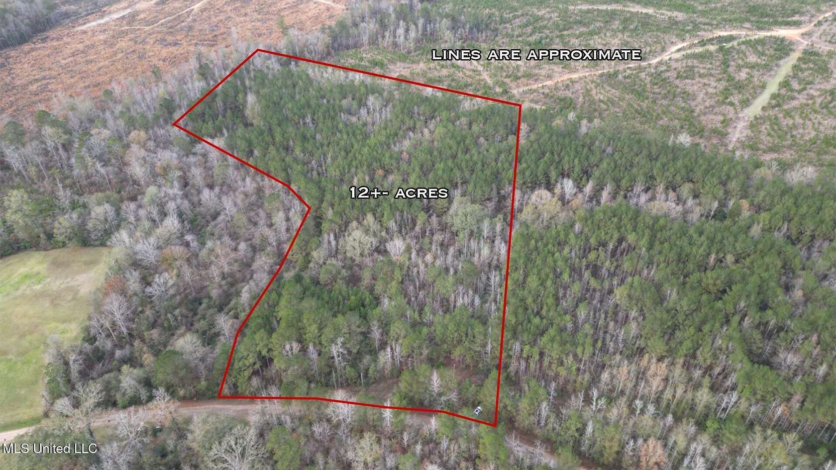12 Acres of Land for Sale in Sontag, Mississippi