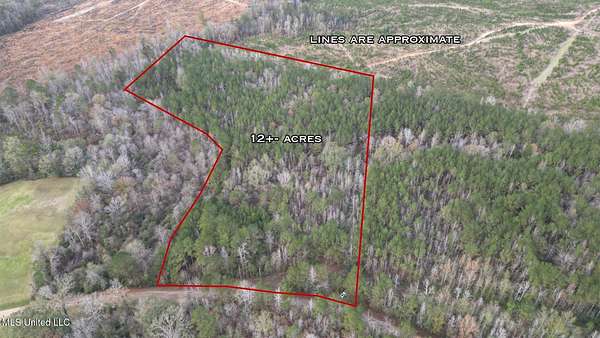 12 Acres of Land for Sale in Sontag, Mississippi