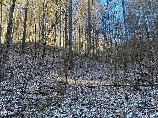 32 Acres of Land for Sale in Flag Pond, Tennessee