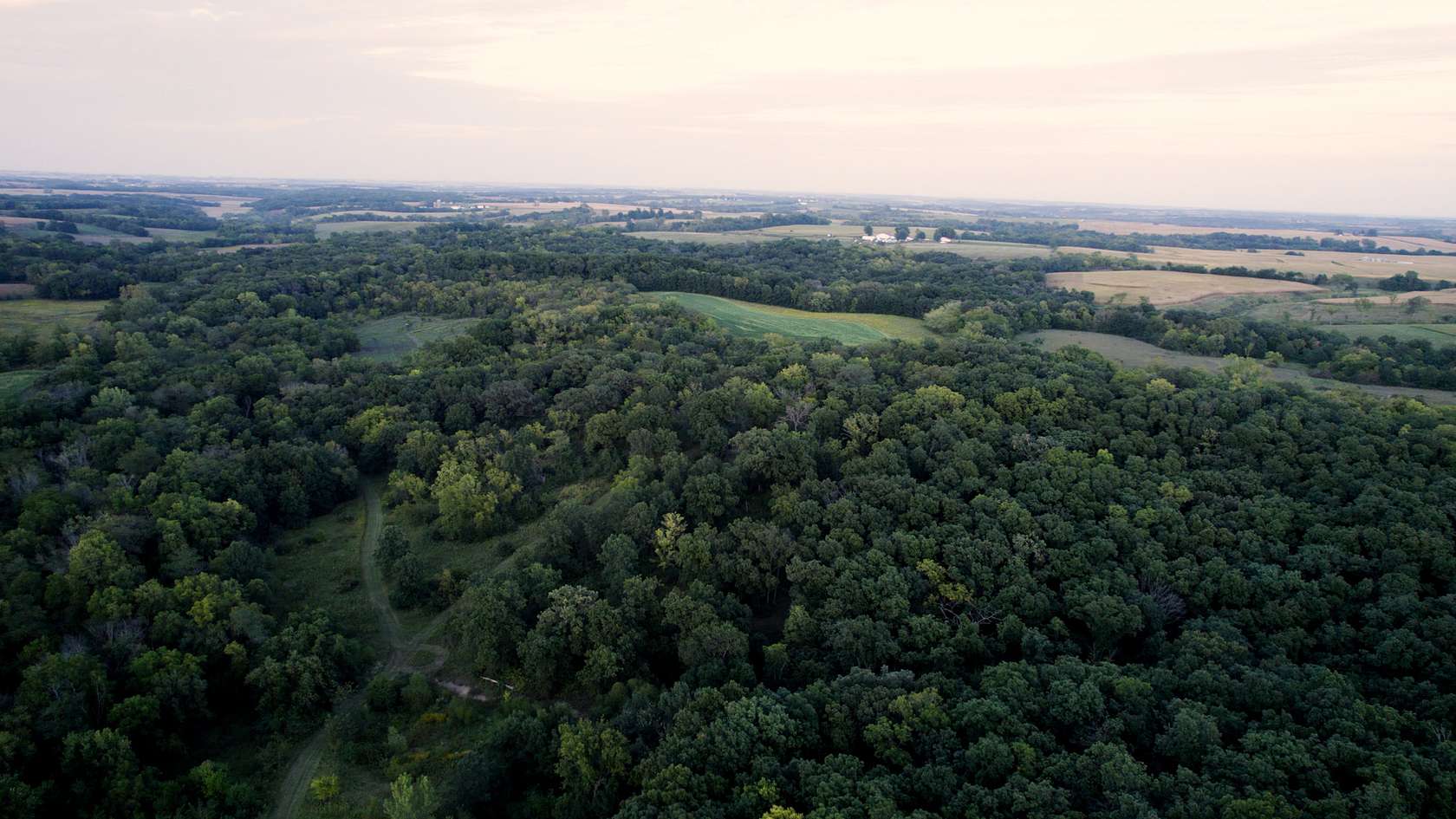 136 Acres of Land for Sale in Bussey, Iowa