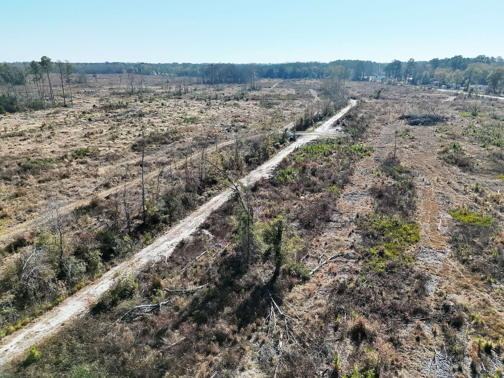 133 Acres of Land for Sale in Bamberg, South Carolina