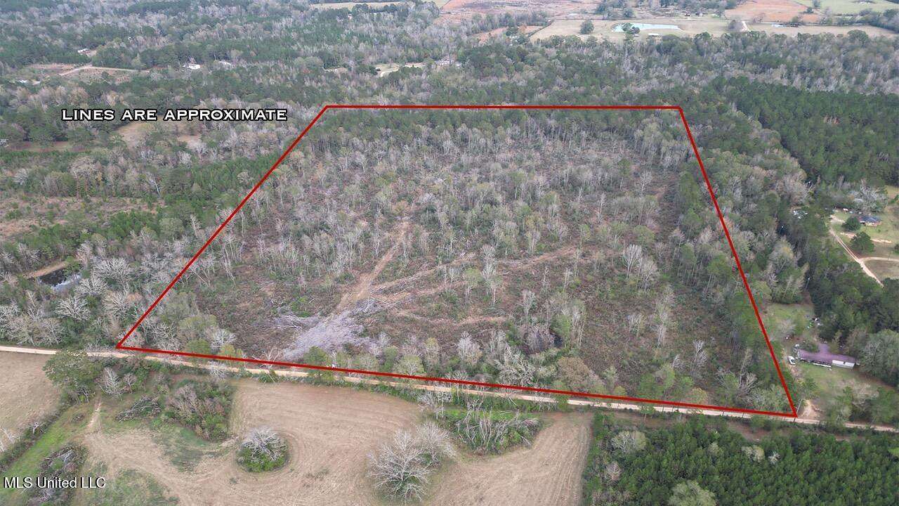 36 Acres of Land for Sale in Magnolia, Mississippi