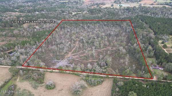 36 Acres of Land for Sale in Magnolia, Mississippi