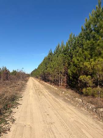 192 Acres of Recreational Land & Farm for Sale in Estill, South Carolina
