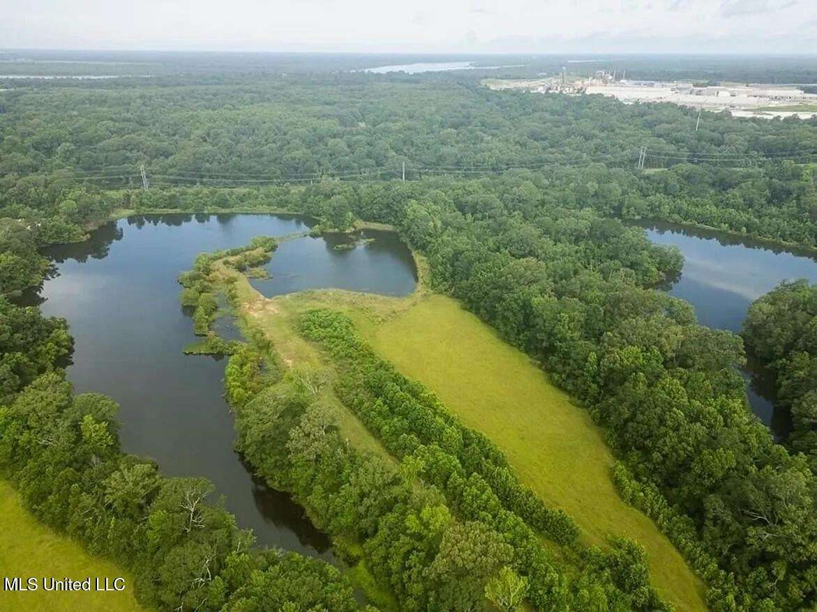 159 Acres of Land for Sale in Zachary, Louisiana
