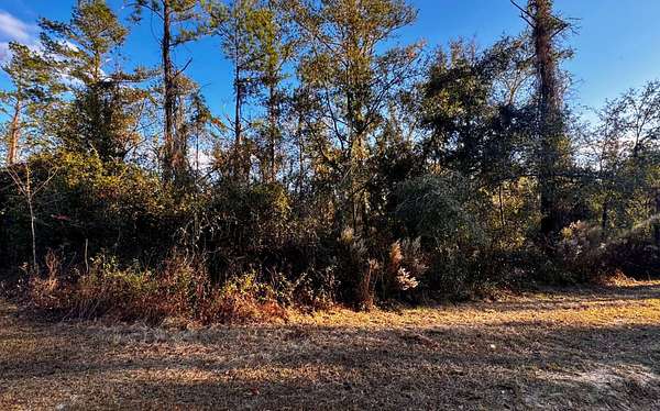 1.3 Acres of Residential Land for Sale in Jennings, Florida