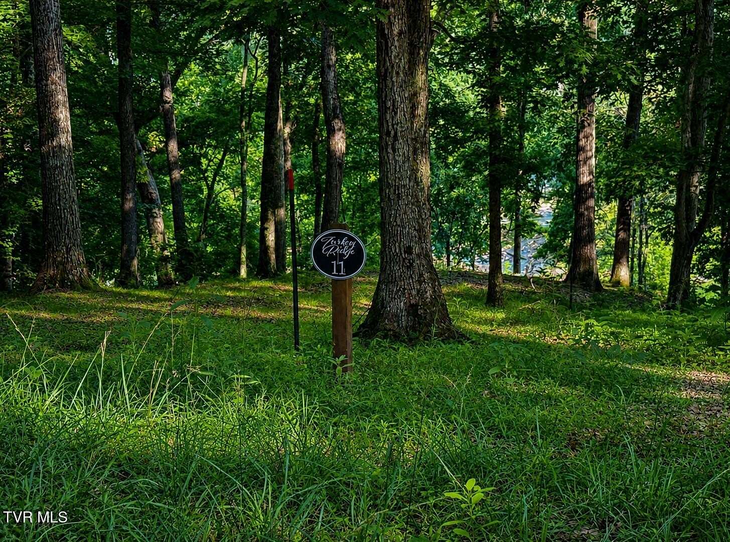 5.1 Acres of Residential Land for Sale in Piney Flats, Tennessee