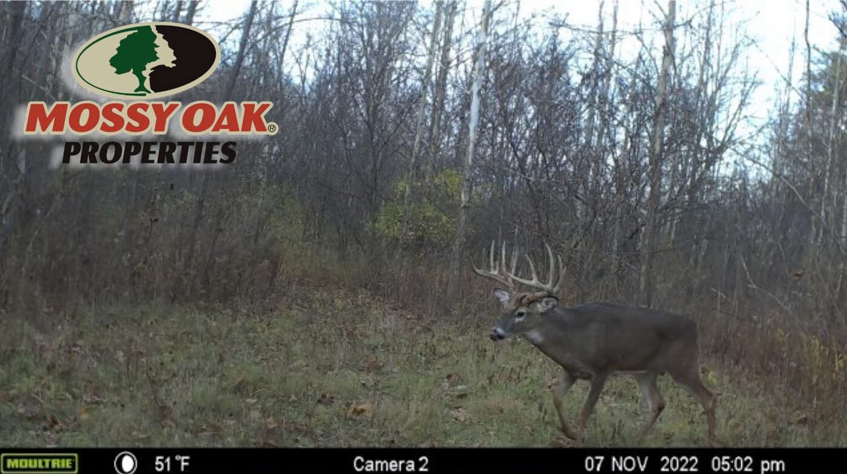 21.2 Acres of Recreational Land for Sale in Roann, Indiana