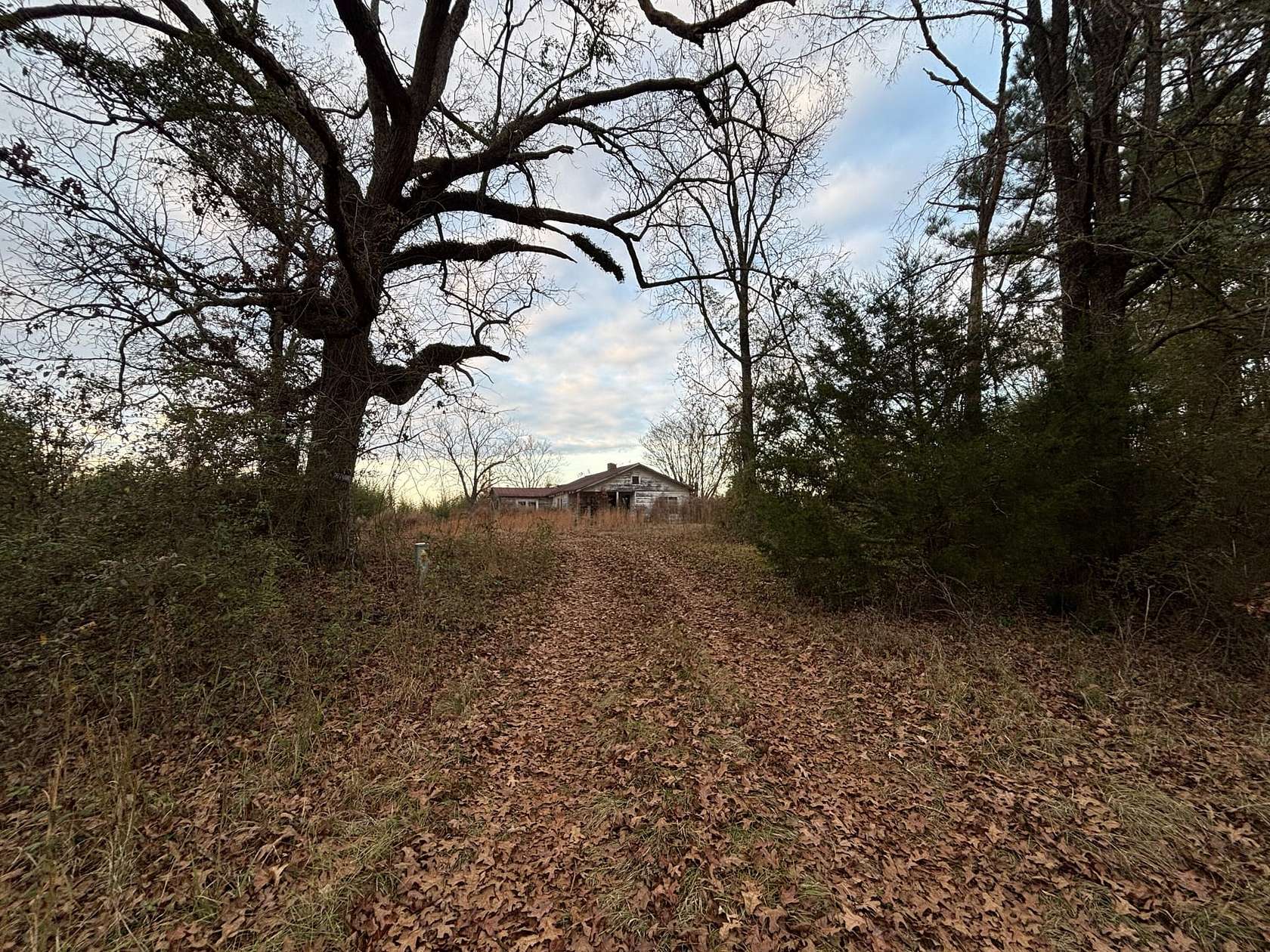 99.7 Acres of Recreational Land & Farm for Sale in Conehatta, Mississippi