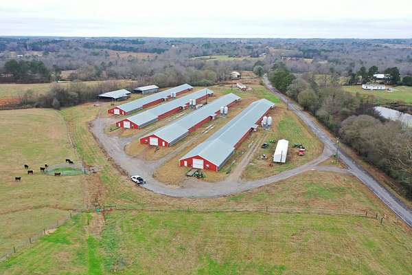 10 Acres of Agricultural Land for Sale in Arab, Alabama