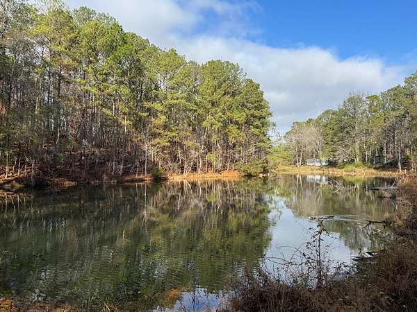 39 Acres of Recreational Land for Sale in Alexander City, Alabama
