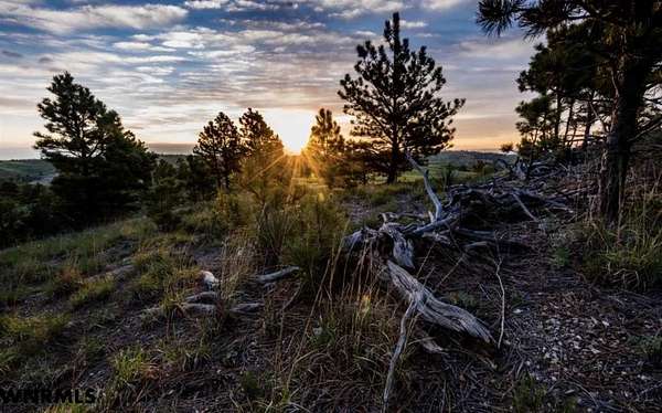 161 Acres of Land for Sale in Whitney, Nebraska