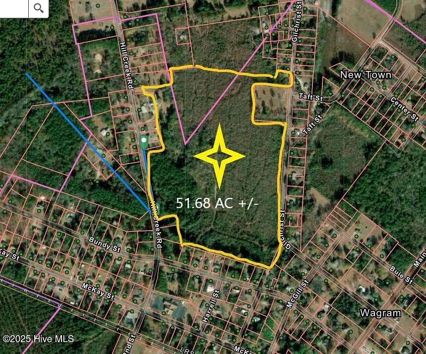 51.7 Acres of Land for Sale in Wagram, North Carolina
