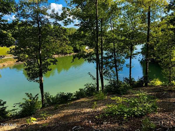 4.58 Acres of Residential Land for Sale in Piney Flats, Tennessee