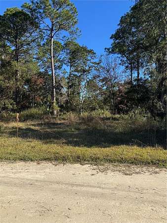 0.34 Acres of Residential Land for Sale in Old Town, Florida