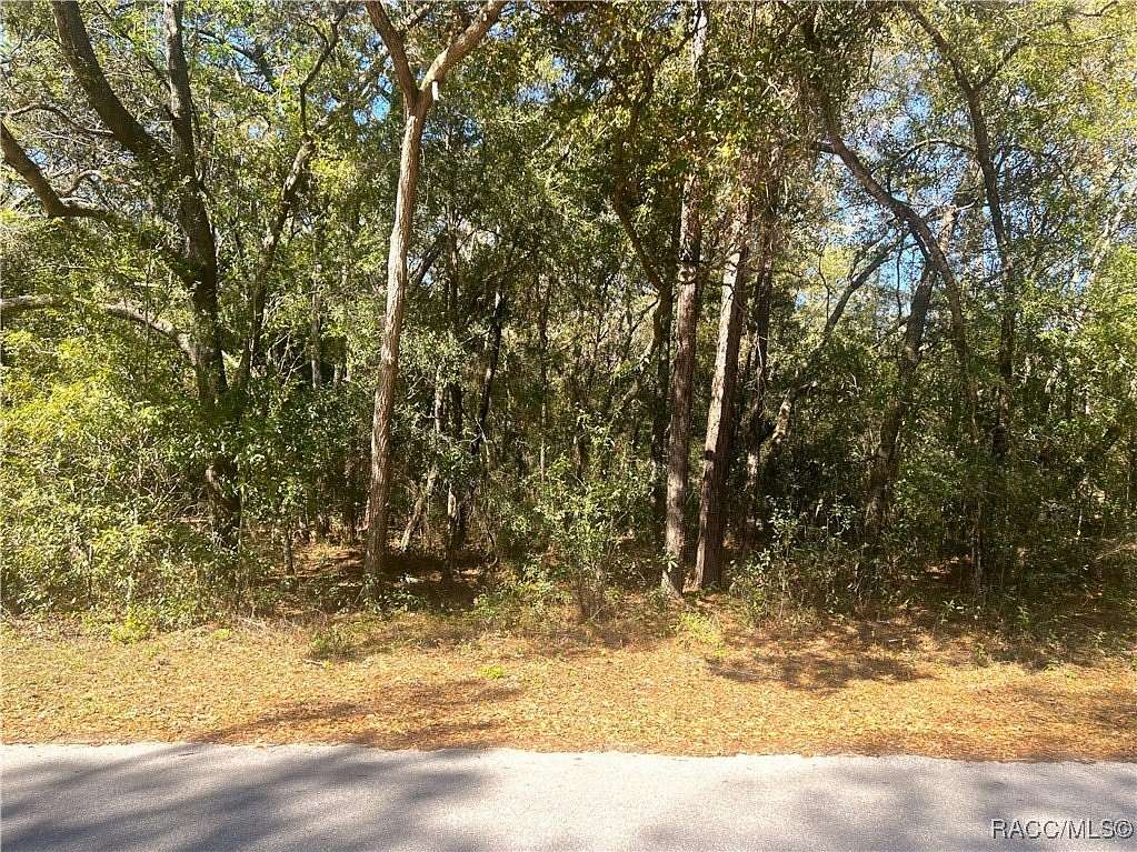 0.95 Acres of Residential Land for Sale in Dunnellon, Florida
