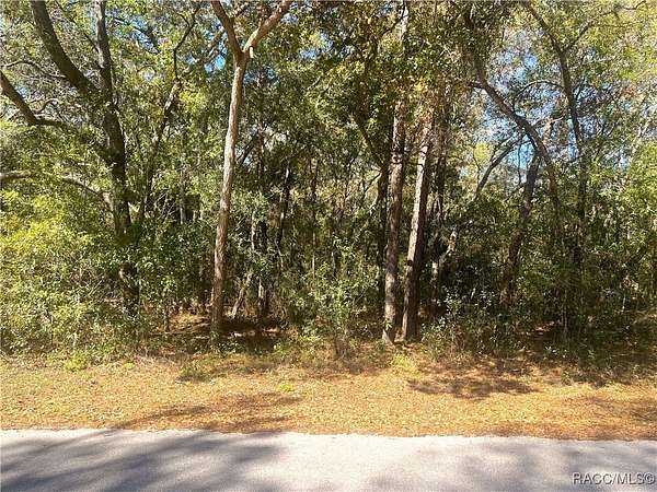 0.95 Acres of Residential Land for Sale in Dunnellon, Florida