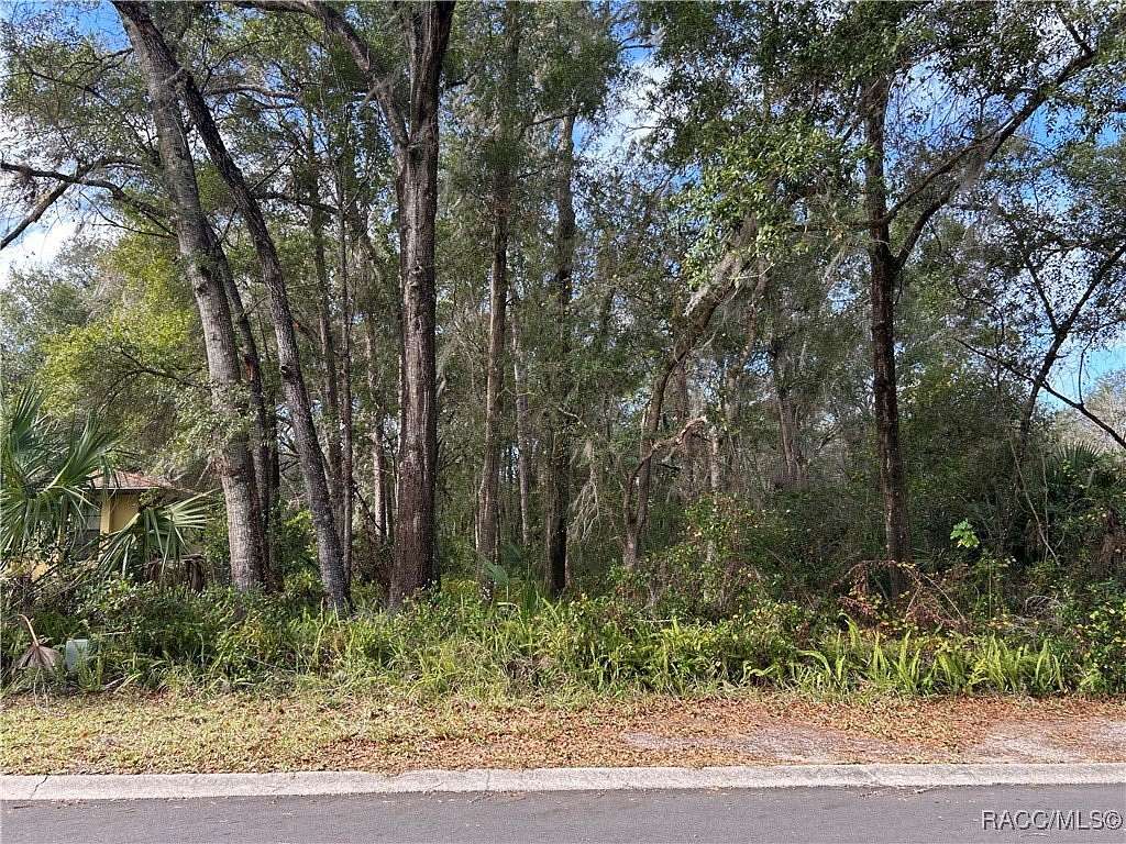 0.48 Acres of Residential Land for Sale in Inverness, Florida