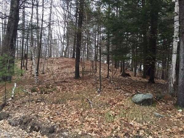 49.7 Acres of Land for Sale in Windham Town, Maine