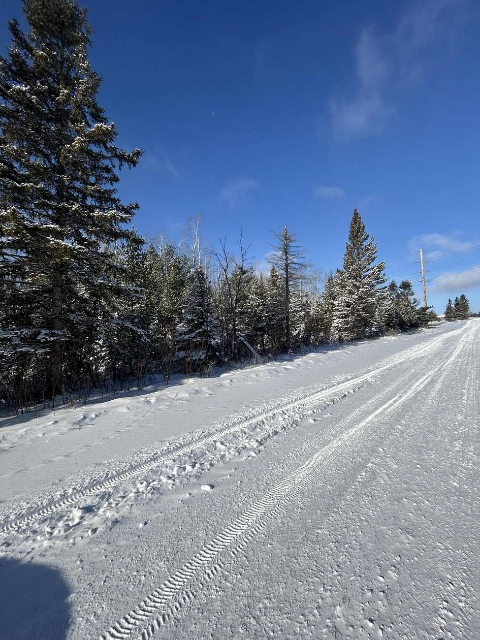 33.6 Acres of Recreational Land for Sale in Onaway, Michigan