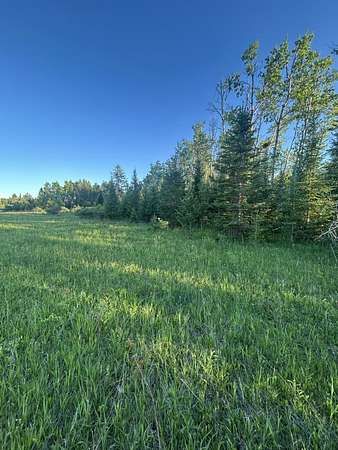 33.6 Acres of Recreational & Residential Land for Sale in Onaway, Michigan
