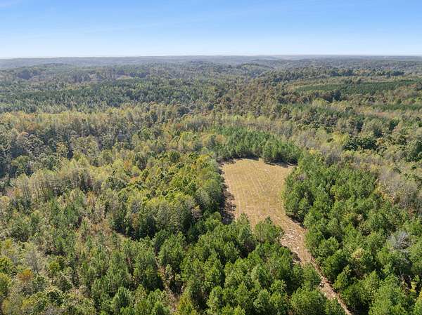 21.2 Acres of Recreational Land for Sale in Dover, Tennessee