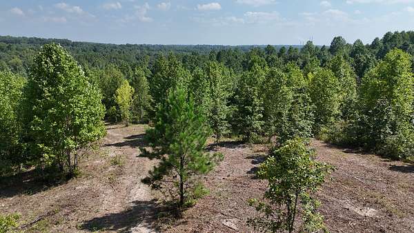 9.3 Acres of Residential Land for Sale in Indian Mound, Tennessee