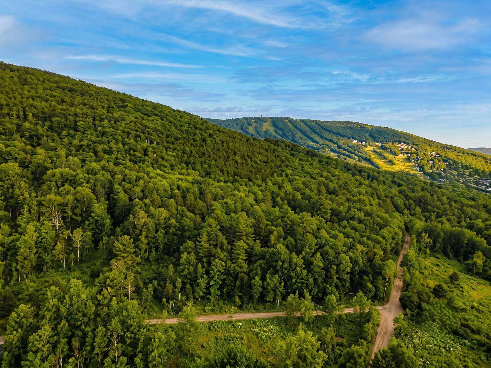 1.1 Acres of Land for Sale in Windham, New York