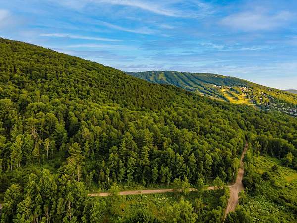 1.1 Acres of Land for Sale in Windham, New York