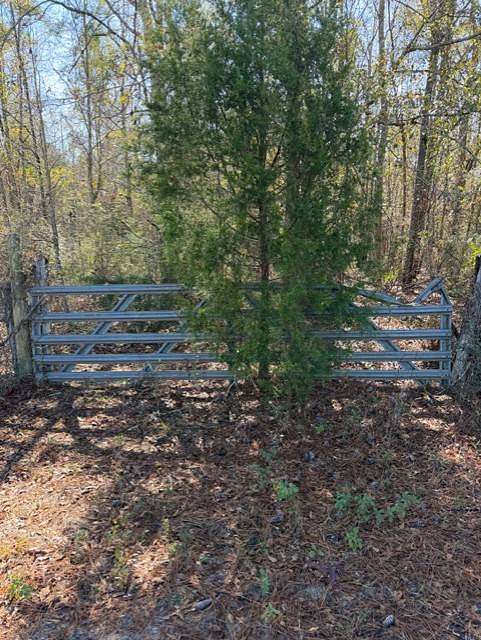 6.2 Acres of Residential Land for Sale in Honoraville, Alabama