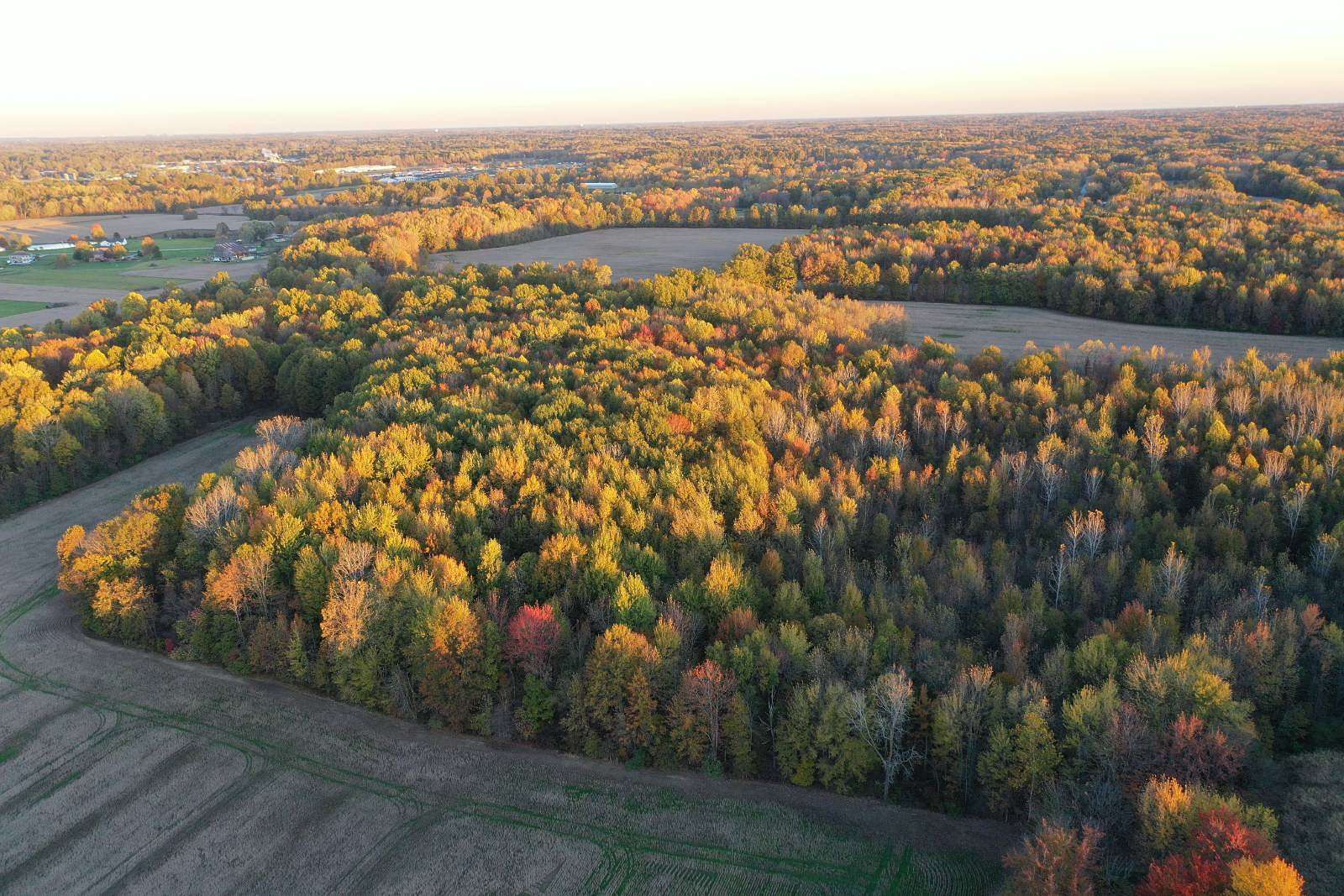 176 Acres of Recreational Land & Farm for Auction in Columbia Station, Ohio