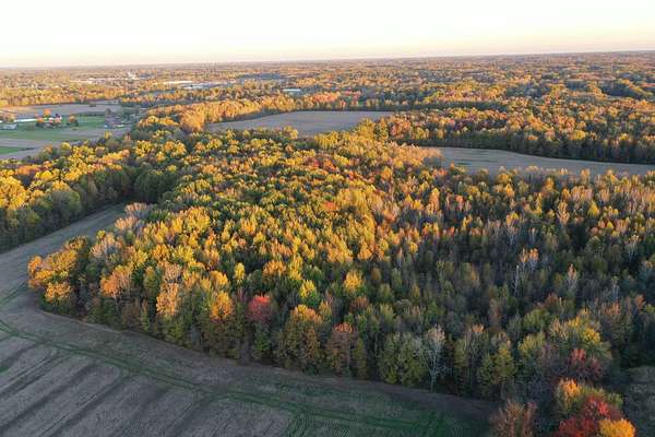 176 Acres of Recreational Land & Farm for Auction in Columbia Station, Ohio