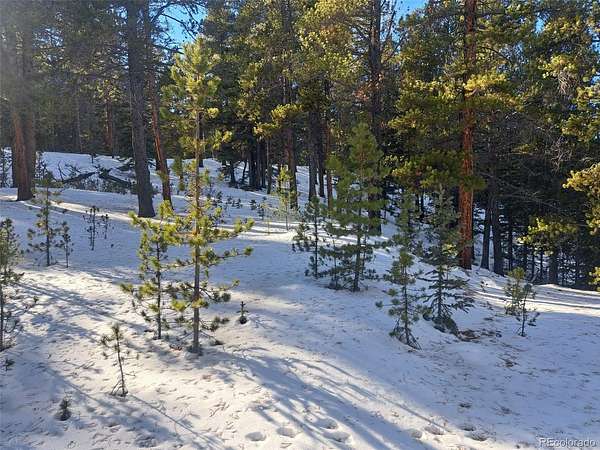 3.34 Acres of Residential Land for Sale in Fairplay, Colorado
